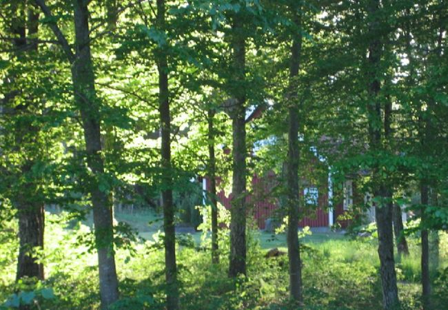 Ferienhaus in Hörby - Gemütliches Ferienhaus unweit vom See Kvesarumssjön Ferienhaus in Hörby - Gemütliches Ferienhaus unweit vom See Kvesarumssjön