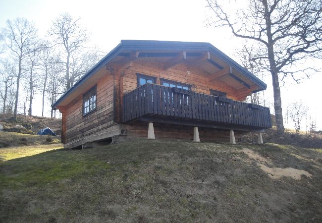 Ferienhaus in Karl Gustav - Wikinger-Ferienhaus mit Seeblick und hervorragenden Angelmöglichkeiten Ferienhaus in Karl Gustav - Wikinger-Ferienhaus mit Seeblick und hervorragenden Angelmöglichkeiten