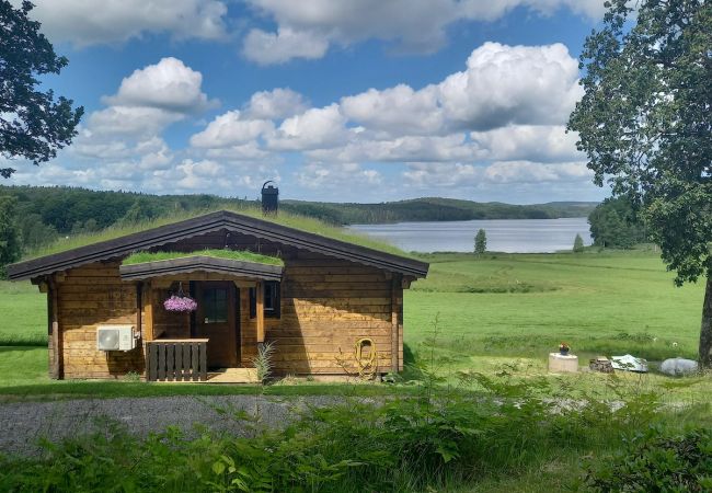 Ferienhaus in Karl Gustav - Wikinger-Ferienhaus mit Seeblick und hervorragenden Angelmöglichkeiten