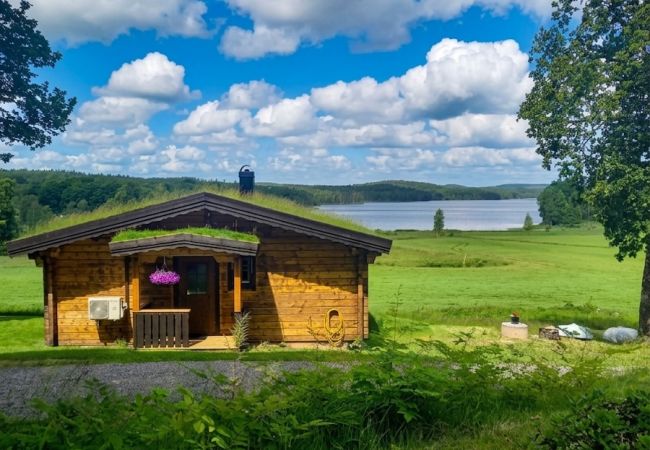 Ferienhaus in Karl Gustav - Wikinger-Ferienhaus mit Seeblick und hervorragenden Angelmöglichkeiten