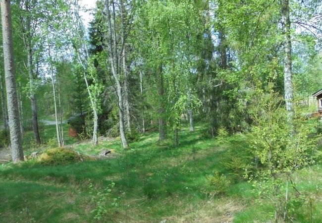 Ferienhaus in Kopparberg - Ferienhütte am Waldrand in Bergslagen