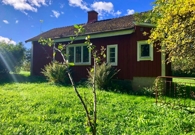 Ferienhaus in Moheda - Liebevoll eingerichtetes Ferienhaus in sehr ruhiger Lage