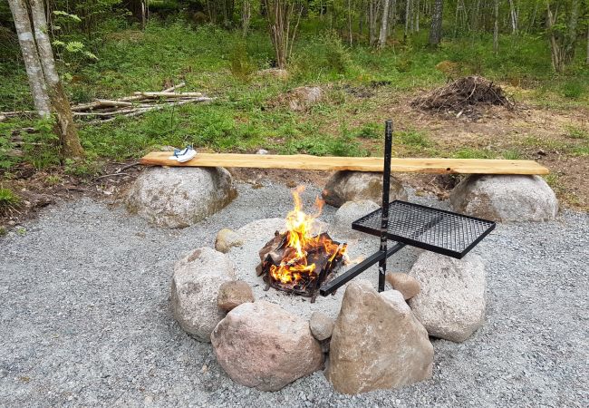 Ferienhaus in Mellerud - Urlaub direkt am grossen Vänernsee