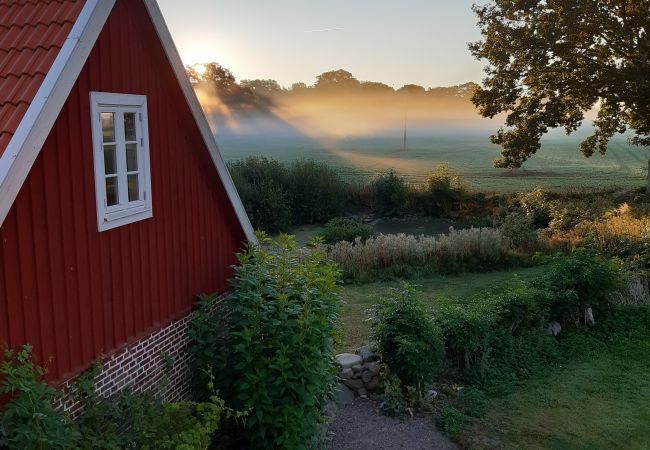 Ferienhaus in Kattarp - Gruppenunterkunft auf dem Lande bei Helsingborg