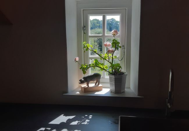 Ferienhaus in Kattarp - Grosses und schönes Ferienhaus auf dem Lande bei Helsingborg Ferienhaus in Kattarp - Grosses und schönes Ferienhaus auf dem Lande bei Helsingborg