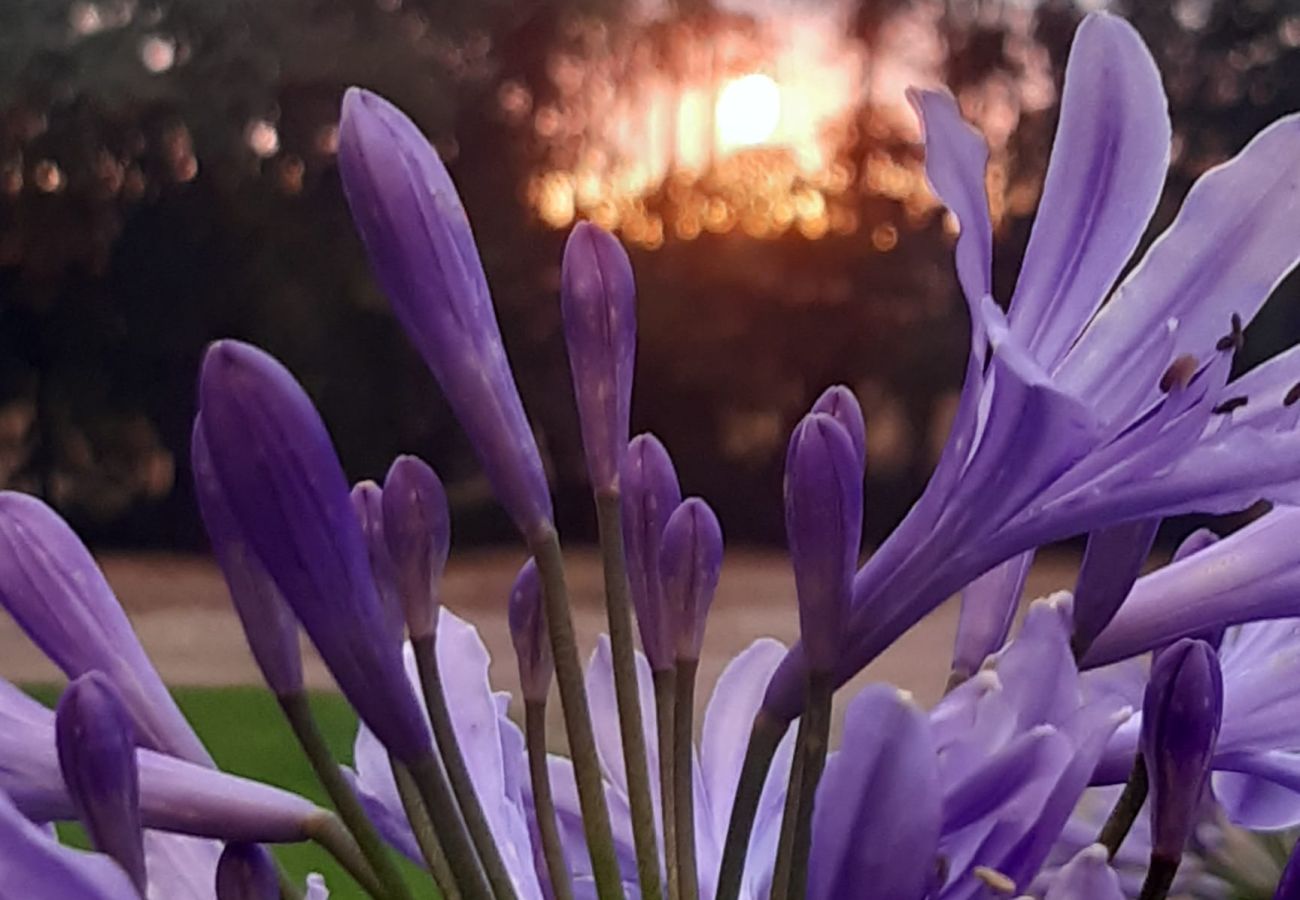 Ferienhaus in Kattarp - Grosses und schönes Ferienhaus auf dem Lande bei Helsingborg