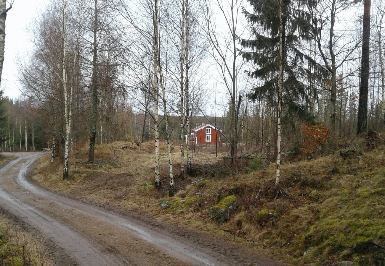 Ferienhaus in Skruv - Vitahult