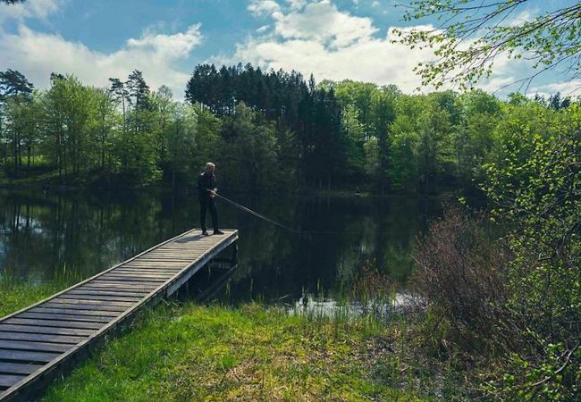 Zimmeranmietung in Åsljunga - Gemütliches Freiluft-Hotel in den Wäldern Süschwedens