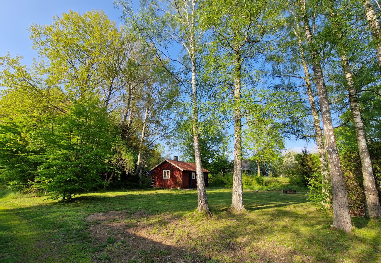 Landhaus in Gullabo - Urlaub zwischen Wald und Pferdekoppeln in Småland