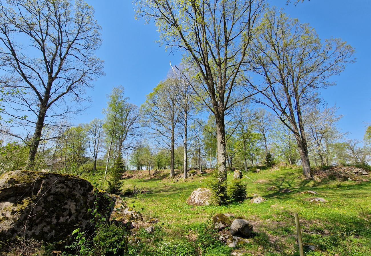 Ferienhaus in Gullabo - Urlaub zwischen Wald und Pferdekoppeln in Småland