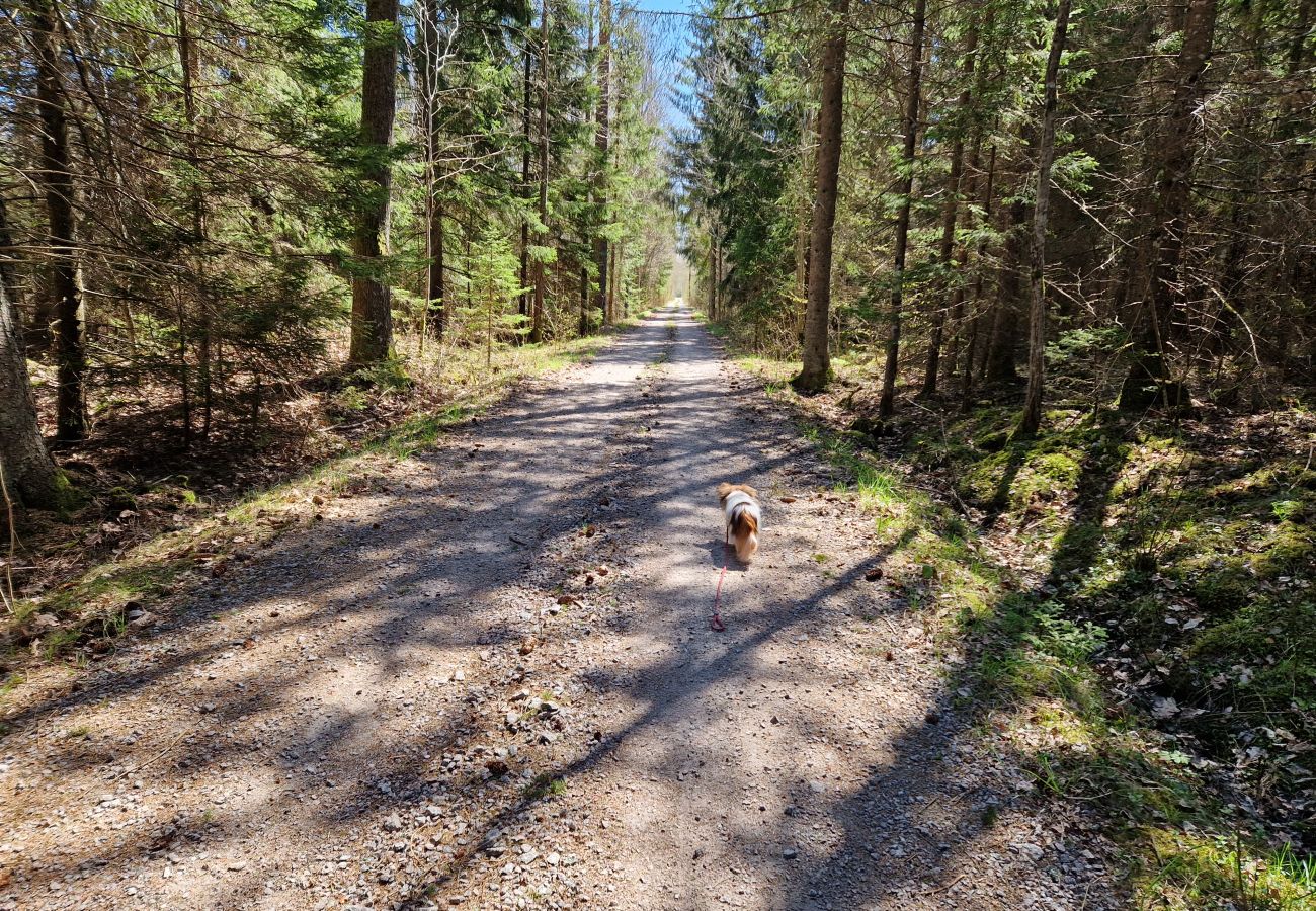 Landhaus in Gullabo - Urlaub zwischen Wald und Pferdekoppeln in Småland