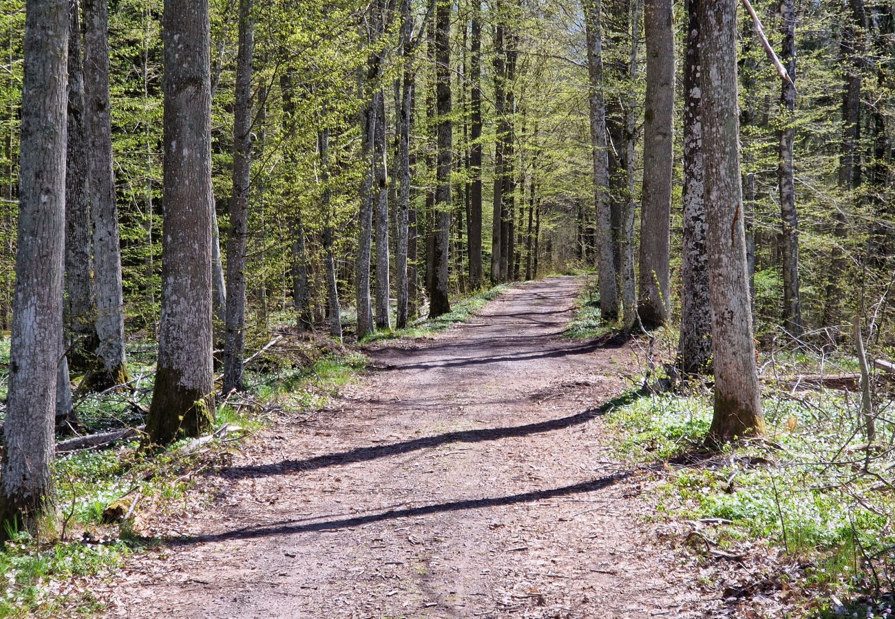 Ferienhaus in Gullabo - Urlaub zwischen Wald und Pferdekoppeln in Småland