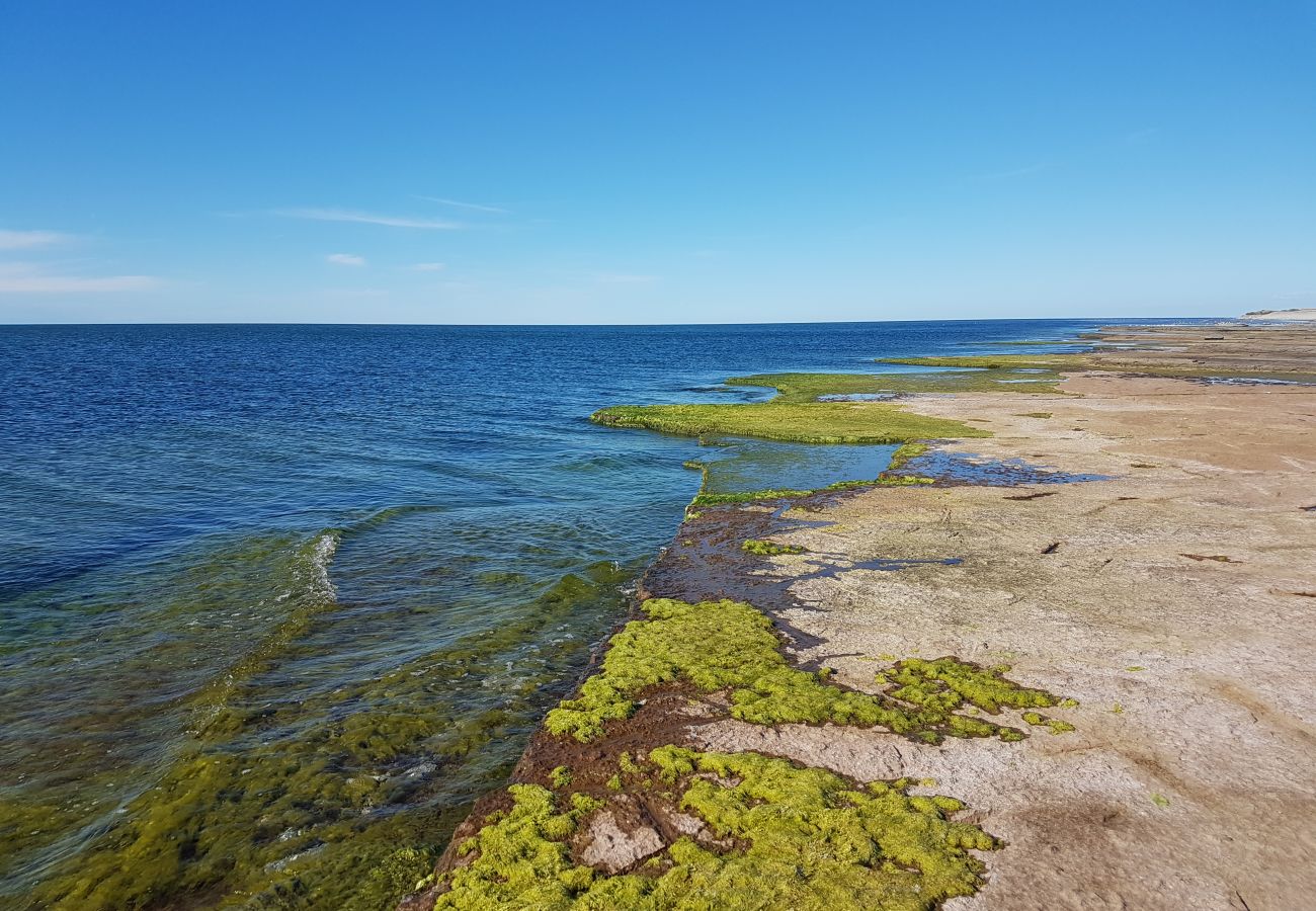 Ferienhaus in Gullabo - Urlaub zwischen Wald und Pferdekoppeln in Småland