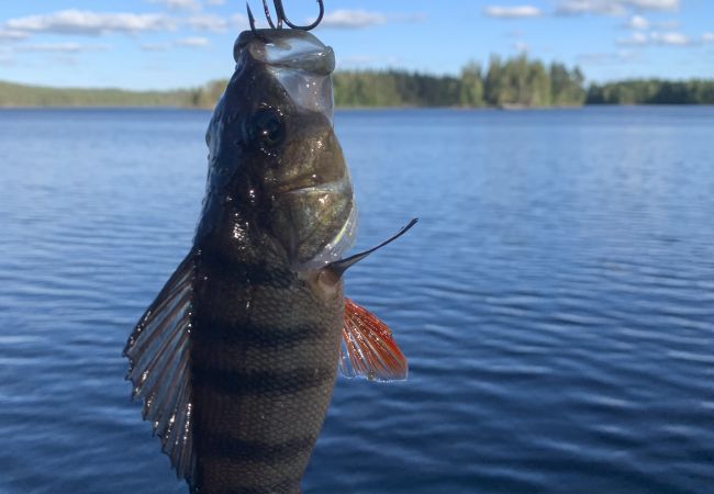Ferienhaus in Norrhult - Schönes Ferienhaus im Småländischen Glasreich mit eigenem Boot Ferienhaus in Norrhult - Schönes Ferienhaus im Småländischen Glasreich mit eigenem Boot