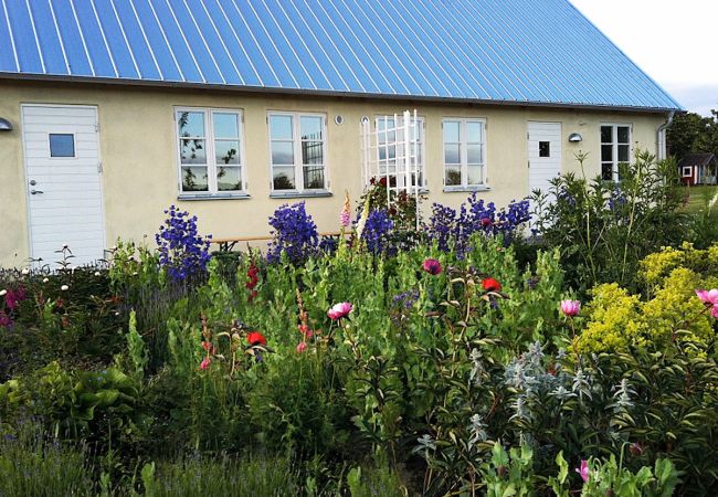 Ferienhaus in Kivik - Urlaub am Stenshuvud Nationalpark auf Österlen