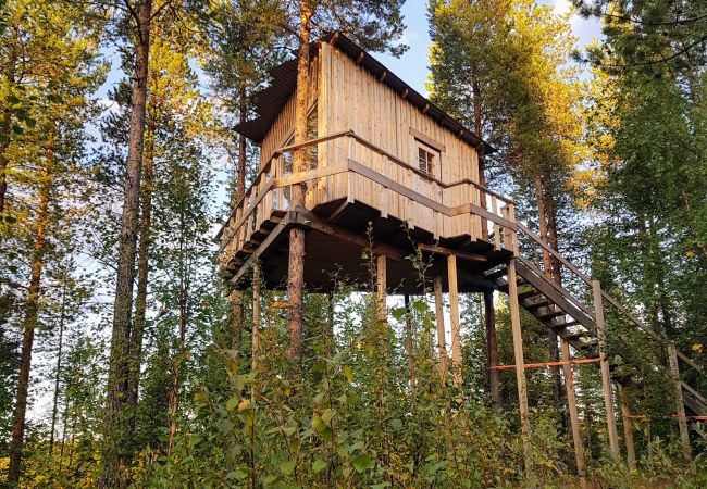 Ferienhaus in Arvidsjaur - Hoch in den Bäumen in Nordschweden  mit Seeblick und Elchen unter der Terrasse