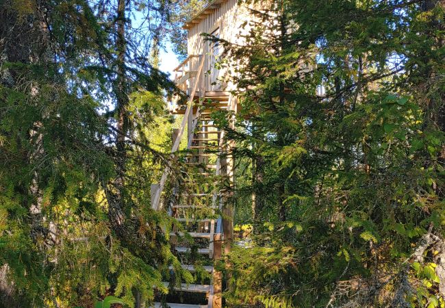 Ferienhaus in Arvidsjaur - Hoch in den Bäumen in Nordschweden  mit Seeblick und Elchen unter der Terrasse Ferienhaus in Arvidsjaur - Hoch in den Bäumen in Nordschweden  mit Seeblick und Elchen unter der Terrasse