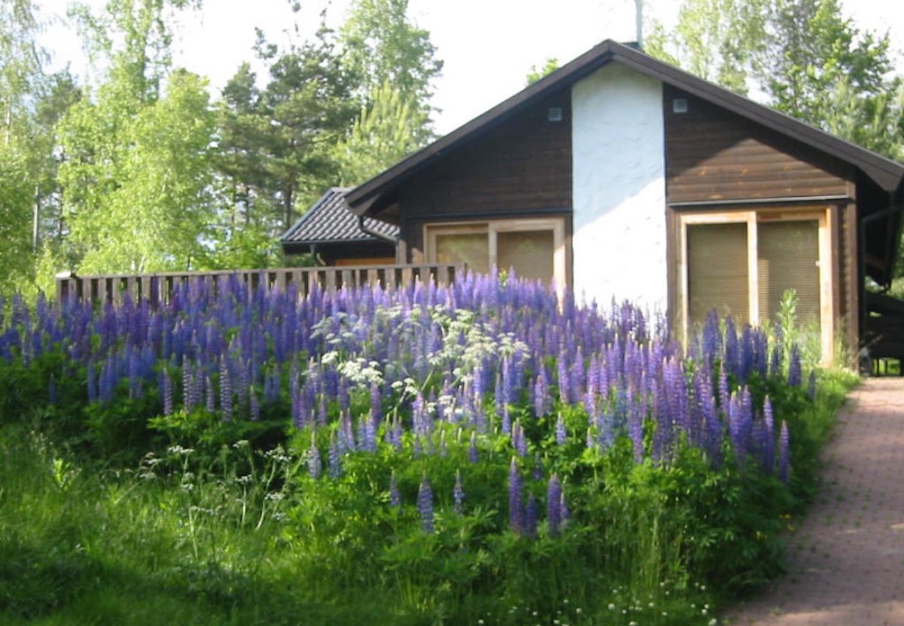 Ferienhaus in Diö - Ferienhaus im wunderbaren Småland am See
