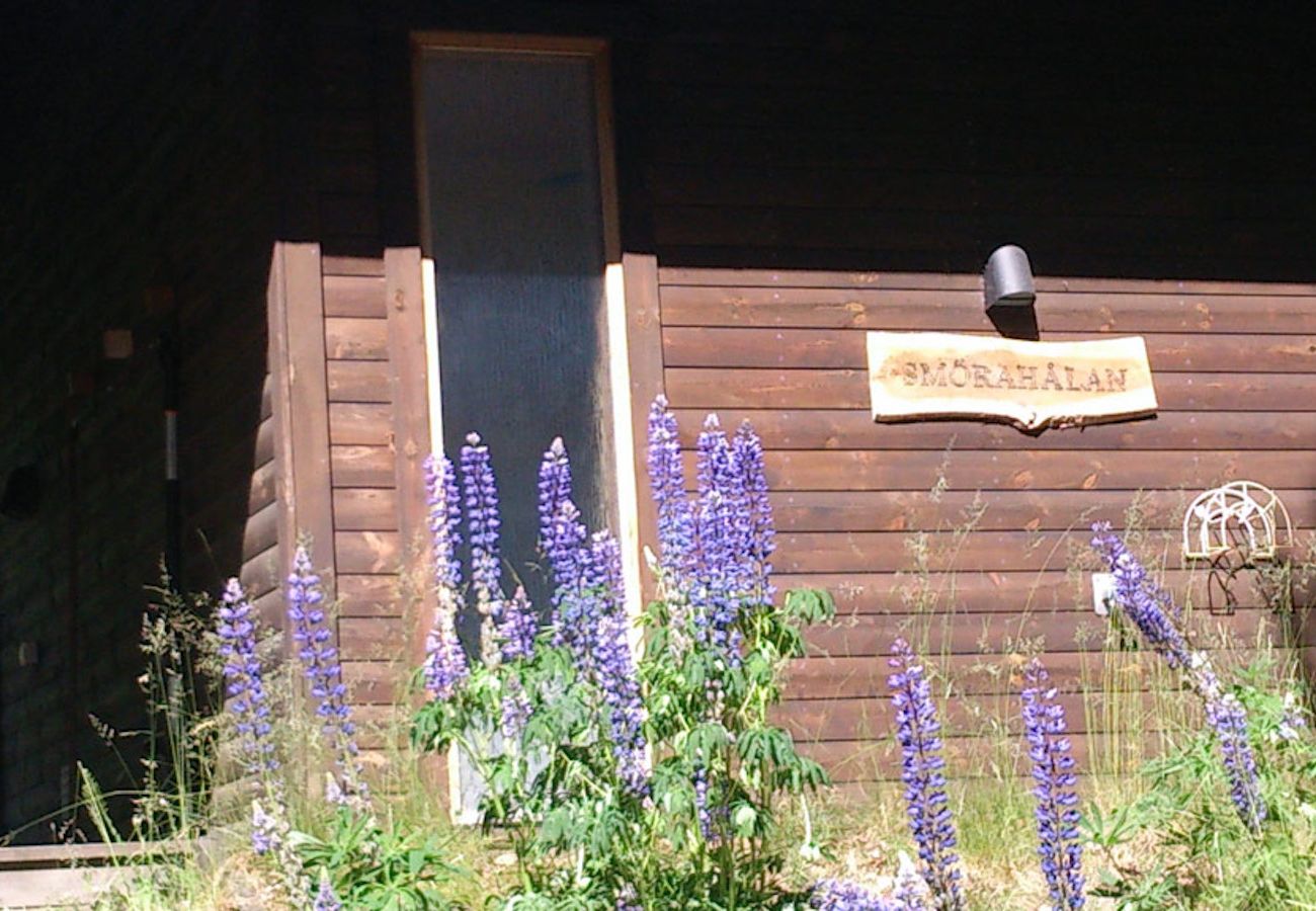 Ferienhaus in Diö - Ferienhaus im wunderbaren Småland am See