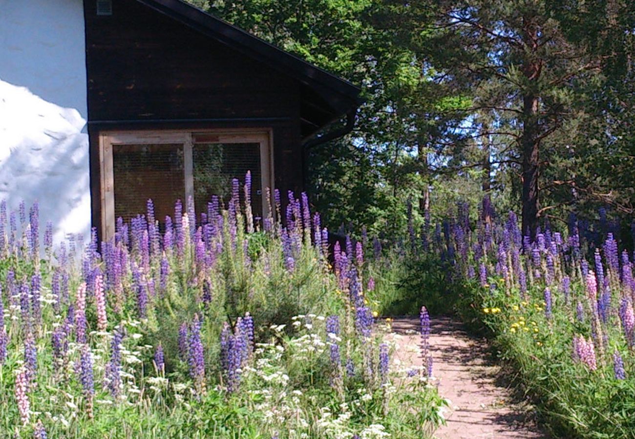 Ferienhaus in Diö - Ferienhaus im wunderbaren Småland am See