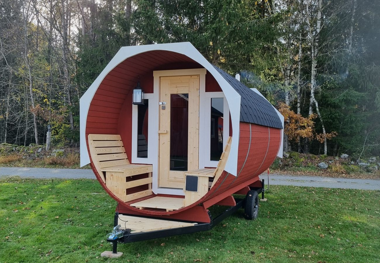 Ferienhaus in Väckelsång - Ferienhaus-Traum am See mit Pool, Internet, Sauna, Kamin und Boot mit Motor