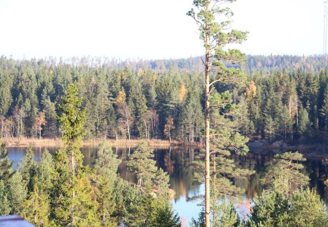 Ferienhaus in Bäckefors - Ferienhaus inmitten von Dalslands Wald- und Seenlandschaft Ferienhaus in Bäckefors - Ferienhaus inmitten von Dalslands Wald- und Seenlandschaft