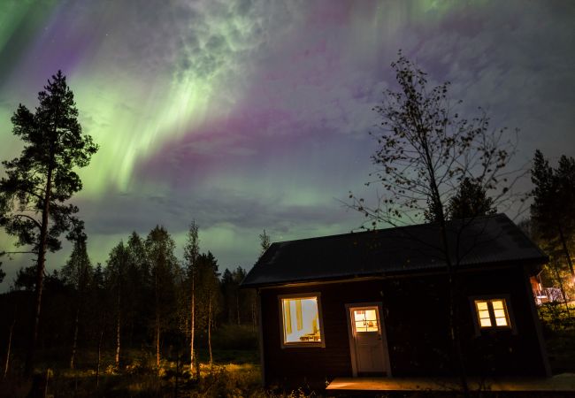 Ferienhaus in Gunnarsbyn - Nordlandurlaub mitten im Wald mit Polarlichtern und Hundeschlitten Ferienhaus in Gunnarsbyn - Nordlandurlaub mitten im Wald mit Polarlichtern und Hundeschlitten