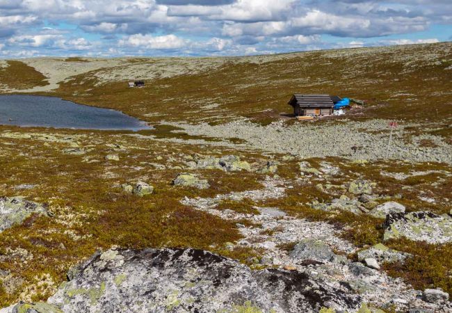 Ferienhaus in Vemdalen - Gemütliche Berghütte in Björnrike - perfekt für Familien und kleine Gruppen! Ferienhaus in Vemdalen - Gemütliche Berghütte in Björnrike - perfekt für Familien und kleine Gruppen!