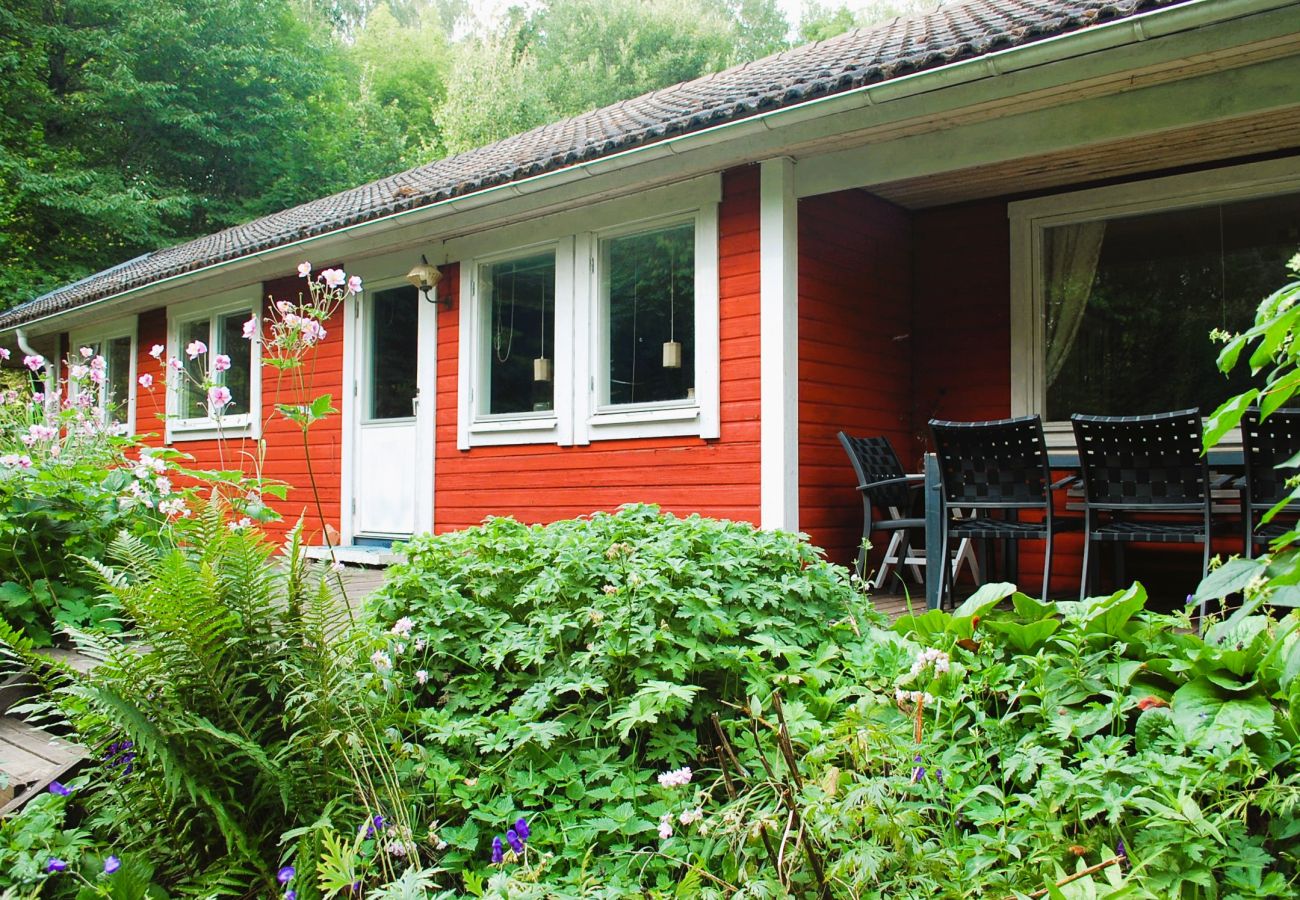 Ferienhaus in Tranås - Schönes Ferienhaus auf Seegrundstück mit Boot und Sauna