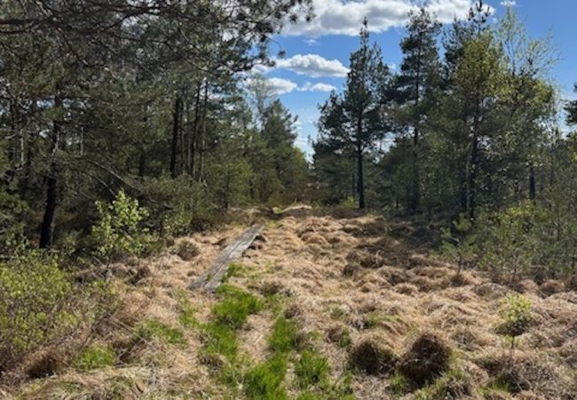 Ferienhaus in Annerstad - Schönes, renoviertes Ferienhaus unweit der Seen Kösen und Bolmen in Småland Ferienhaus in Annerstad - Schönes, renoviertes Ferienhaus unweit der Seen Kösen und Bolmen in Småland