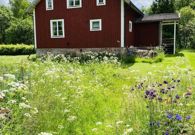 Ferienhaus in Tingsryd - Malerisches Ferienhaus in den Småländischen Wäldern unweit vom See Ferienhaus in Tingsryd - Malerisches Ferienhaus in den Småländischen Wäldern unweit vom See