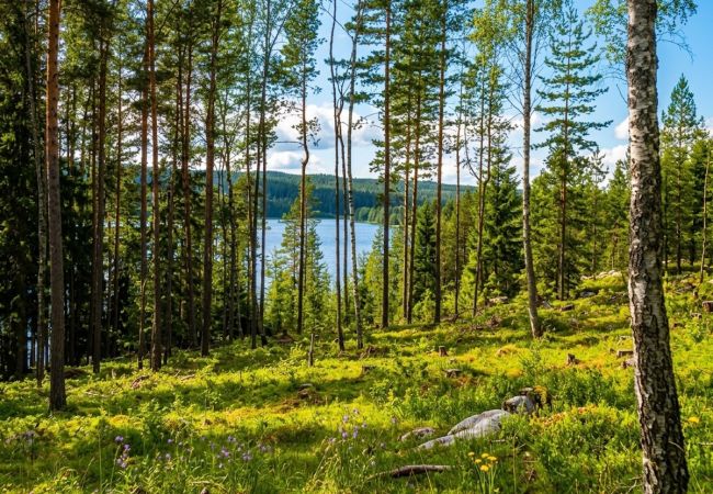 Ferienhaus in Arvika - Urlaub mit Seeblick und Spa am Glafsfjord in Arvika 