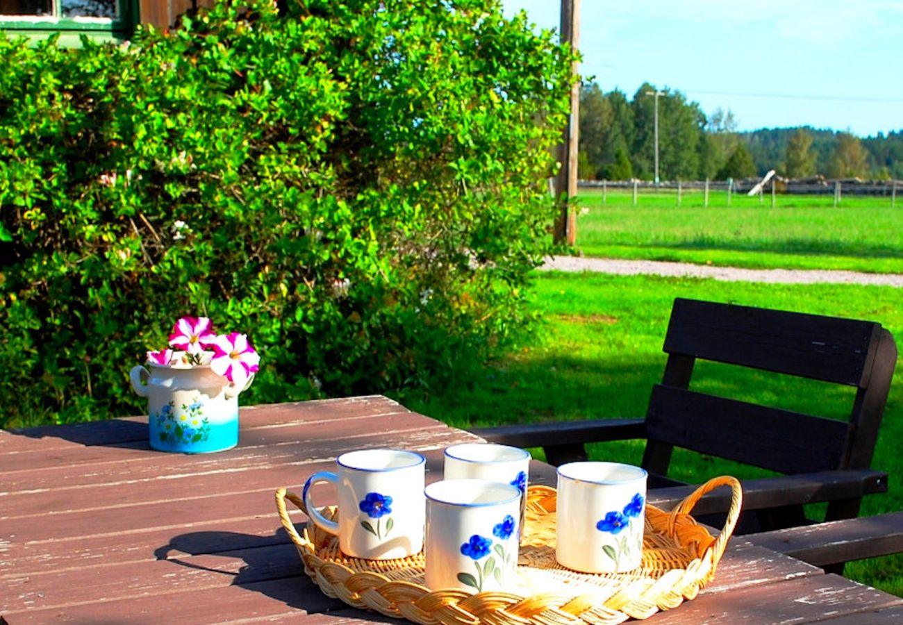Ferienhaus in Ydre - Urlaubsidylle zwischen Pferdekoppeln, Wald, Wiesen und See mit eigenem Boot