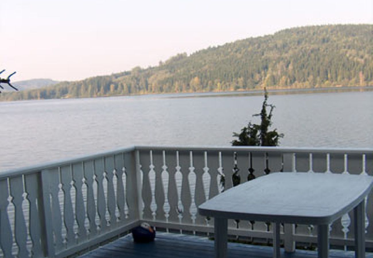 House in Deje - Idyllic holiday home right on the lake in Värmland