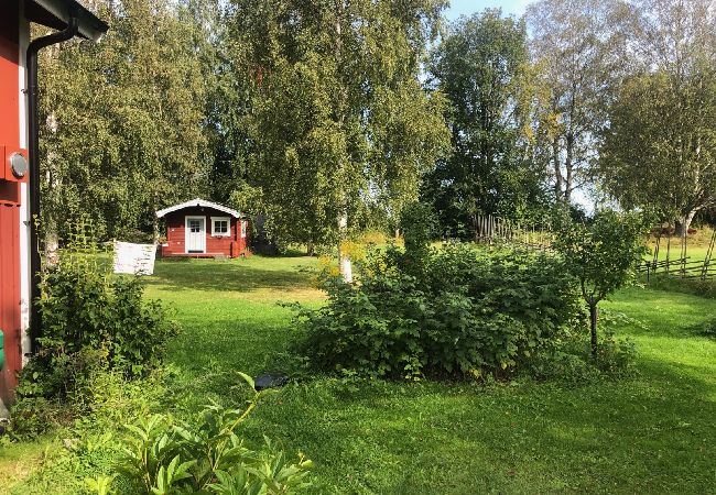 House in Söderbärke - Large holiday home right on the lake in a dream location