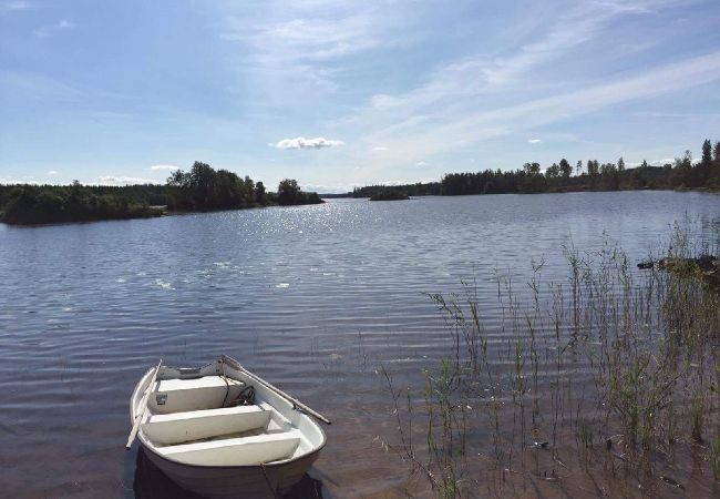 House in Lammhult - holiday home with internet and sauna and boat at the lake Stråken  i Småland House in Lammhult - holiday home with internet and sauna and boat at the lake Stråken  i Småland