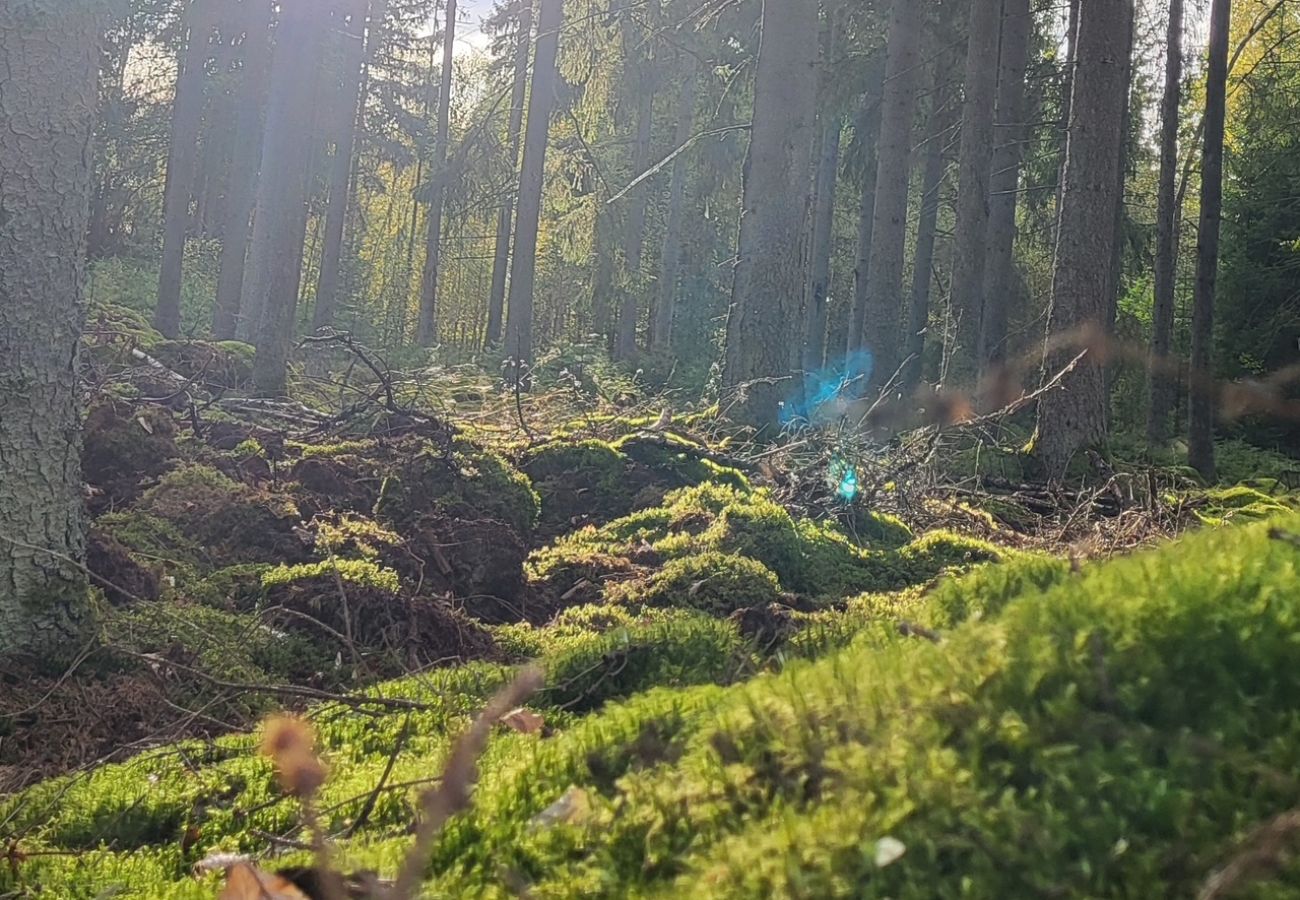 House in Ryd - Large, spacious holiday home in a secluded location with winter garden - Hot tub - pool