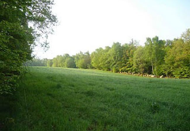 House in Höör - Holiday home in a secluded location in the middle of the forest