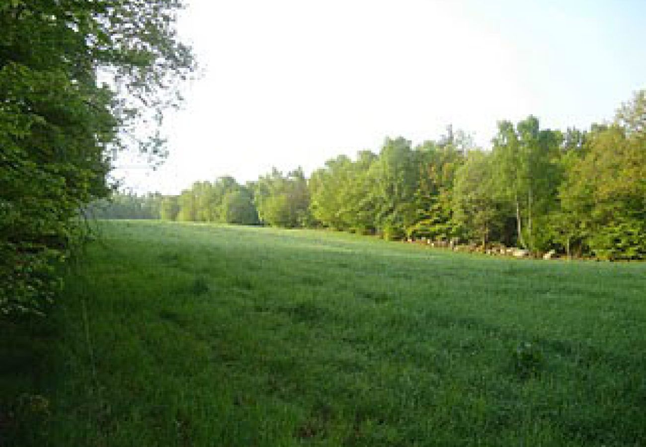 House in Höör - Holiday home in a secluded location in the middle of the forest