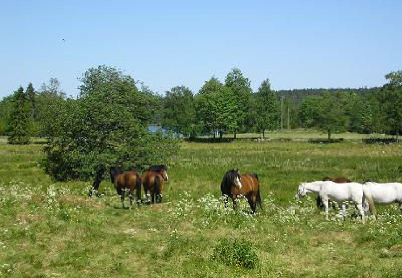 House in Ulricehamn - Holiday with a lake view and a lovingly renovated farmhouse