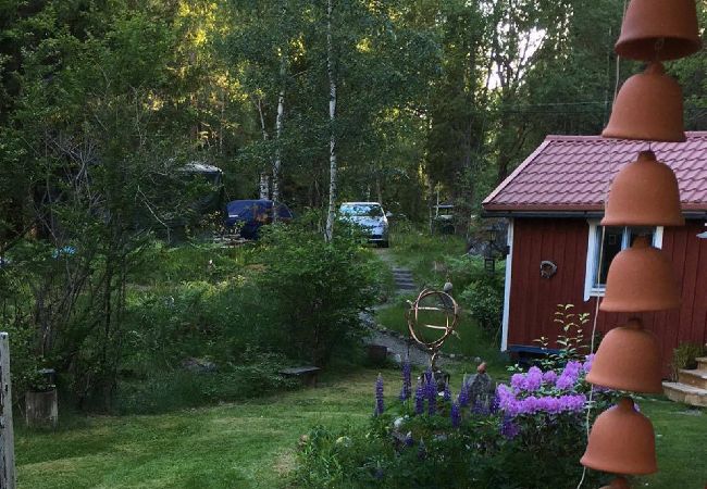 House in Edsbro - Holidays in Uppland between bathing lakes and the Baltic Sea coast