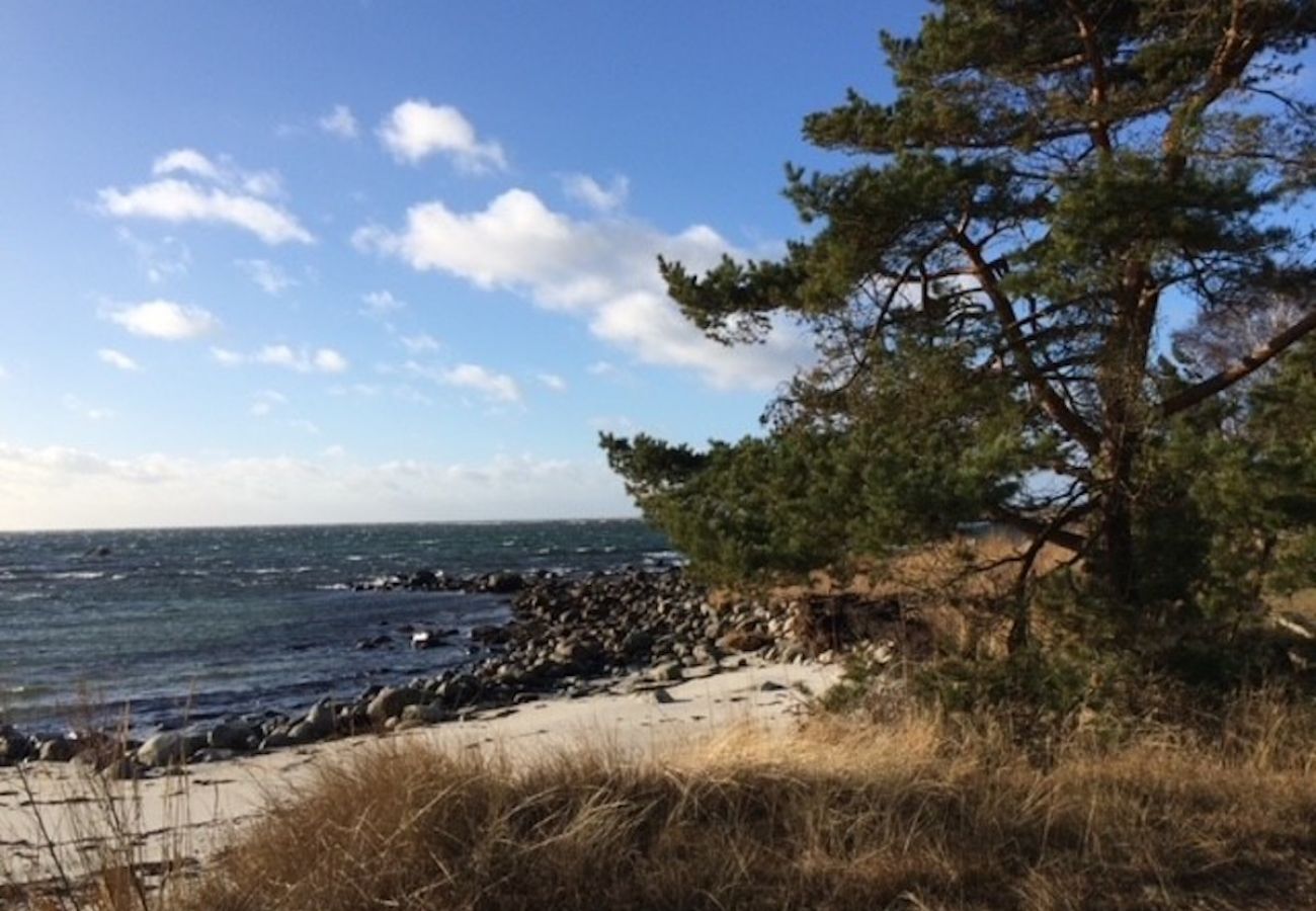 House in Sölvesborg - Top holiday home on the Baltic Sea in southern Sweden a few meters from the beach