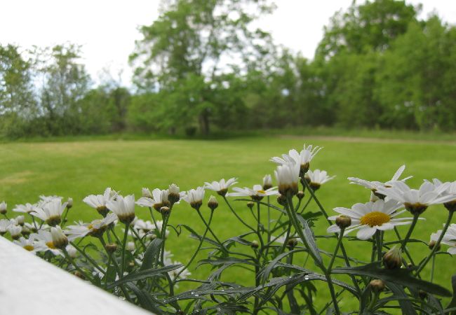 House in Bodafors - Pure nature - holiday by the river Emån and with deer as neighbors