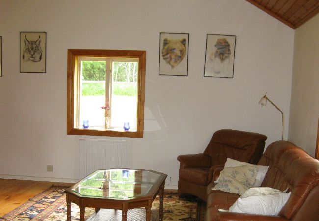House in Bodafors - Pure nature - holiday by the river Emån and with deer as neighbors