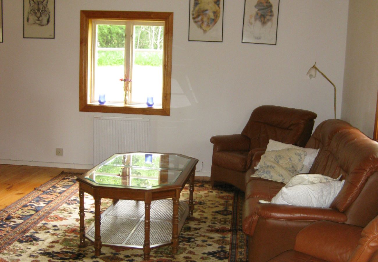 House in Bodafors - Pure nature - holiday by the river Emån and with deer as neighbors