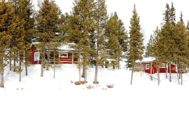 House in Kiruna - Comfortable cottage surrounded by water, fantastic scenery and in private location House in Kiruna - Comfortable cottage surrounded by water, fantastic scenery and in private location