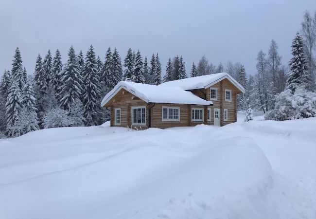 House in Bräcke - Moose lodge