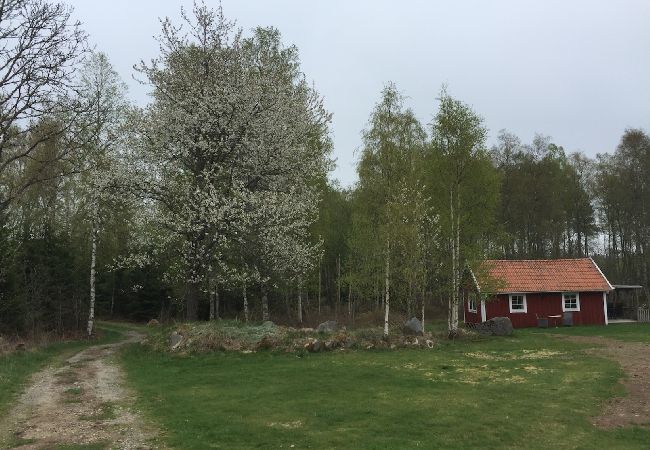 House in Vederslöv - Lake-close location in Småland House in Vederslöv - Lake-close location in Småland