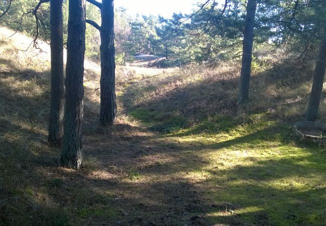 Apartment in Borrby - Holiday apartment near the sand dunes of the Baltic Sea in Österlen Apartment in Borrby - Holiday apartment near the sand dunes of the Baltic Sea in Österlen