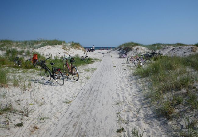 Apartment in Borrby - Holiday apartment near the sand dunes of the Baltic Sea in Österlen Apartment in Borrby - Holiday apartment near the sand dunes of the Baltic Sea in Österlen